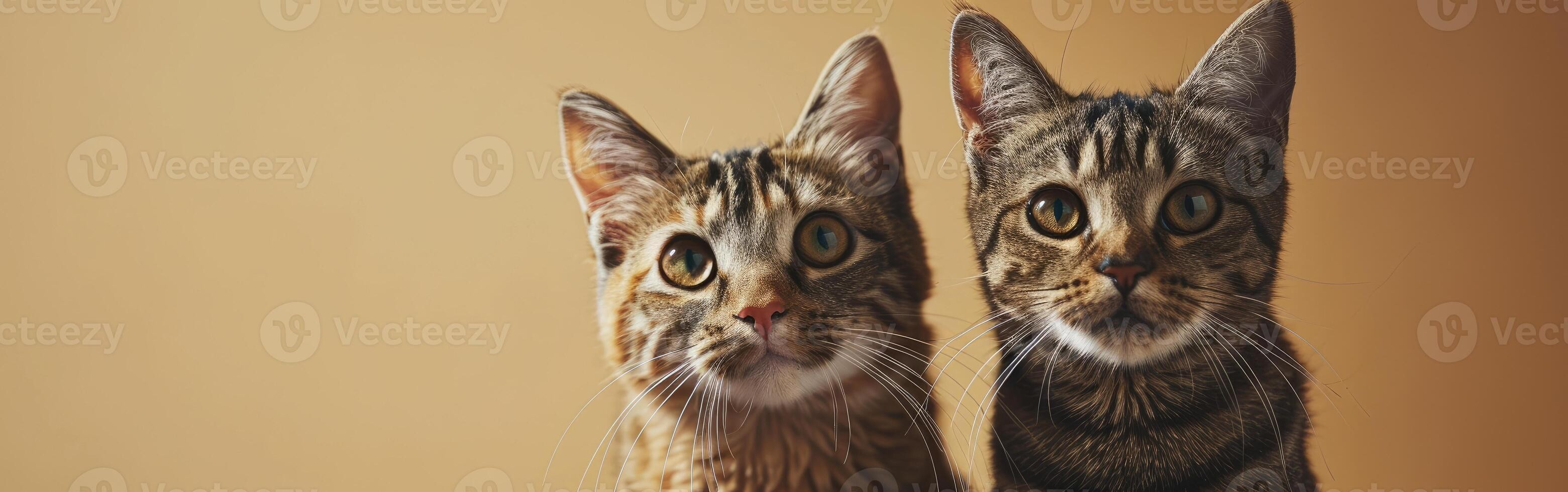 Juguetes